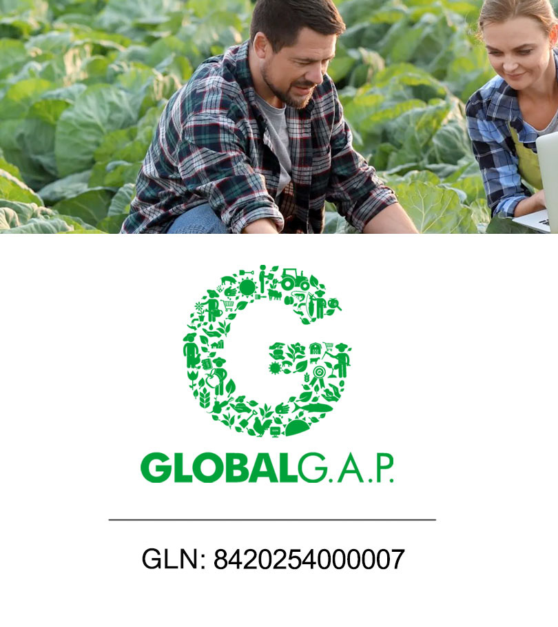 Certificación Global GAP