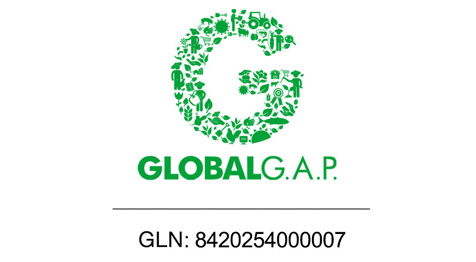 Certificación Global GAP